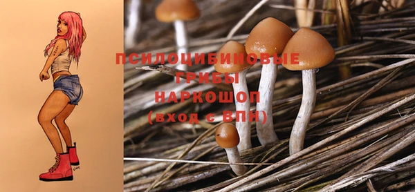 мет Алексин