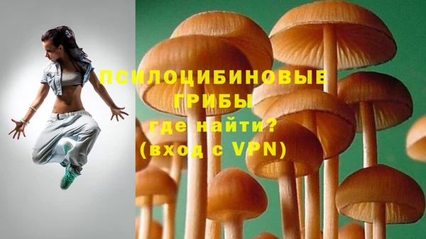 ALPHA PVP Покров