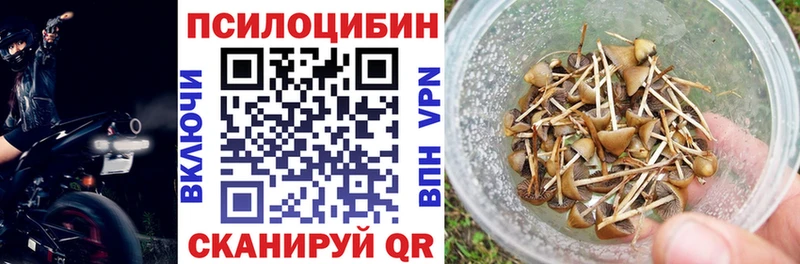 Псилоцибиновые грибы MAGIC MUSHROOMS купить Камбарка